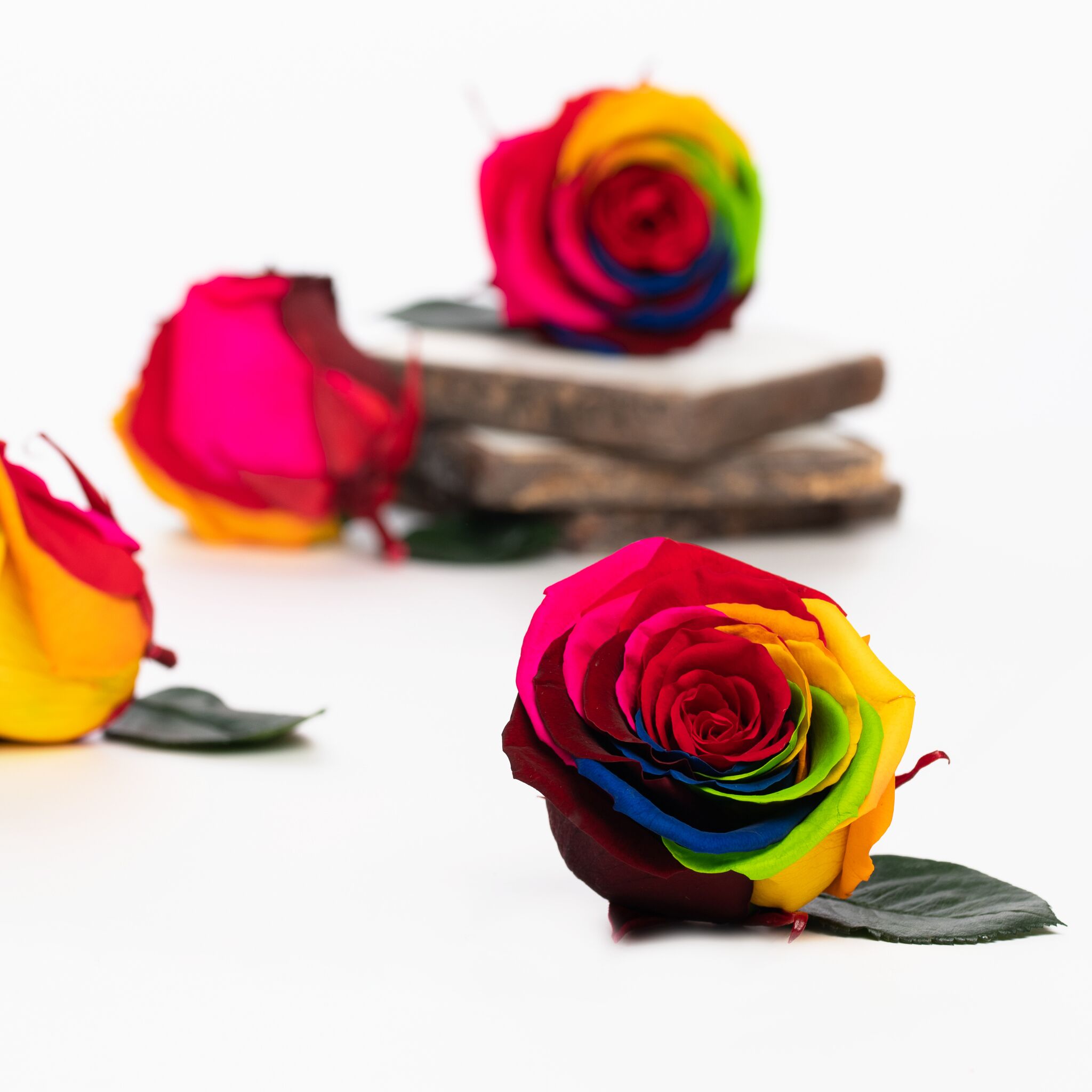 Yoichi-Nobori 2023 Rosé comme Rouge Premium Japanese garden and florist rose bushes | Kiyoshi
