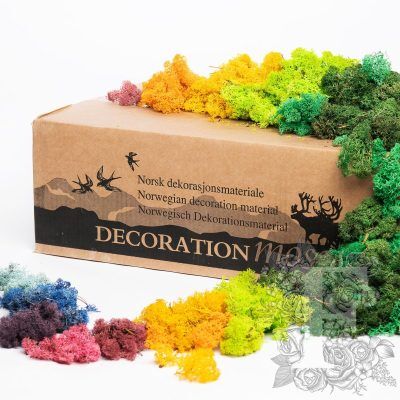 Standard Icelandic Lichen Moss - Bulk 2.6KG