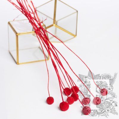 Craspedia Billy Button - 10 Stems