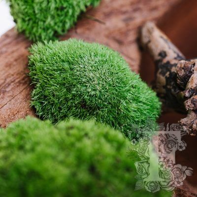 Ball Pole Moss - Window Box - 180g