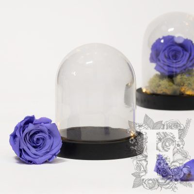 Bell jar - LED - Small