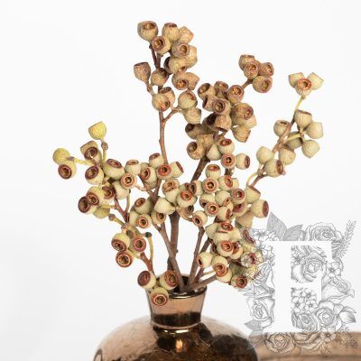 Ambernuts Branch - 3 Stems