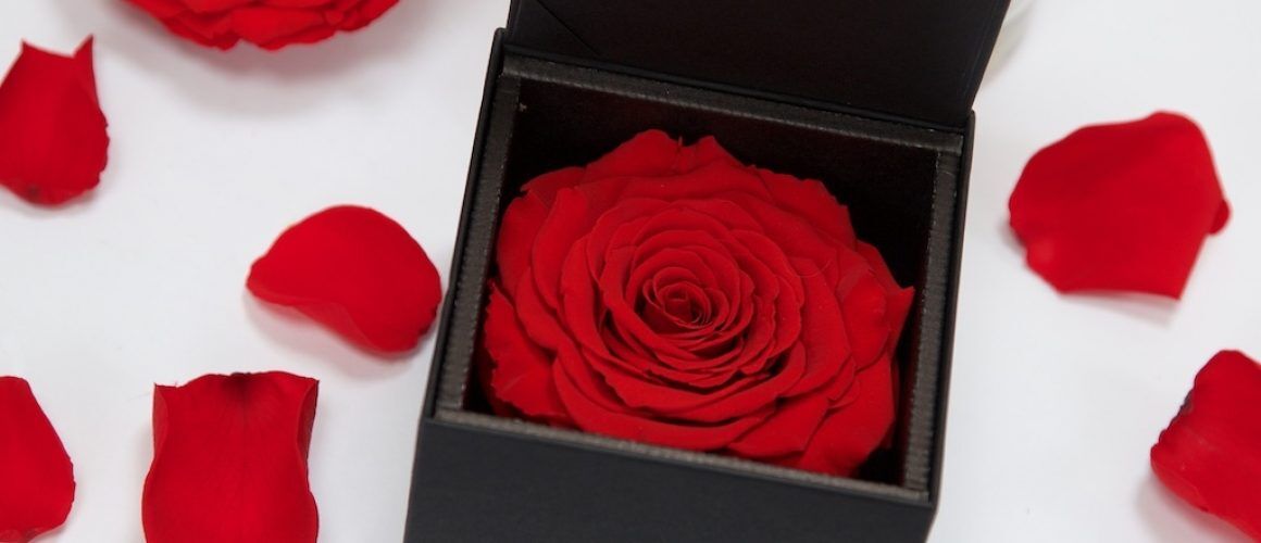 Gift Box XXL Red02 2